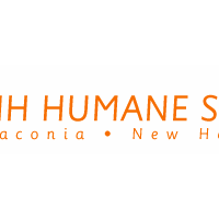 Портфолио Amy Coffaro